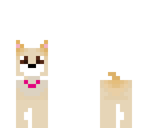 rosey puppy