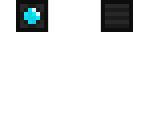 camera skin