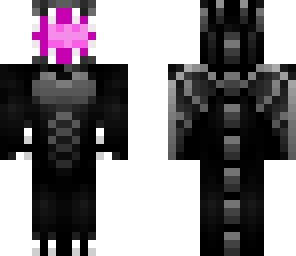 ender dragon
