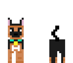 perro