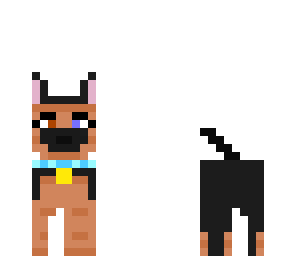 doggy