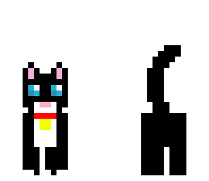my cat