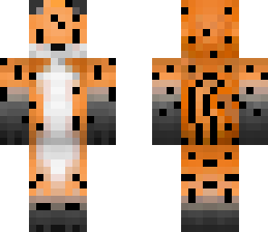 cheetah