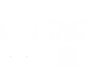 base of a skin