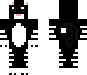 black and white cat