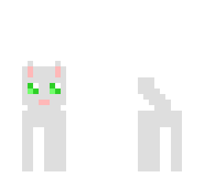 kitty cat