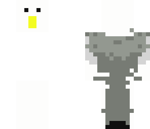 seagul