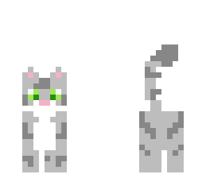 kitty
