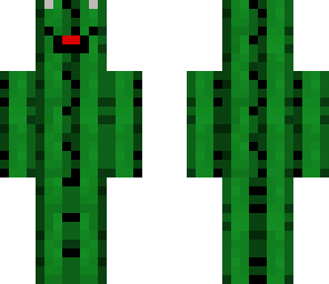 cackti bair