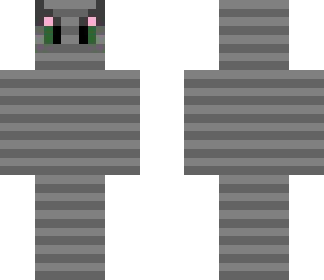 my cat