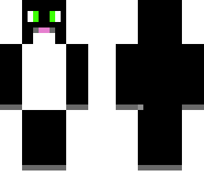 gato