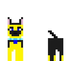 dog