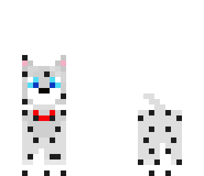 dalmatian