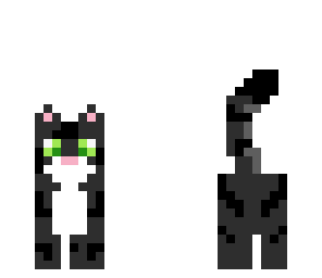 black cat