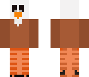 bird  bald eagle