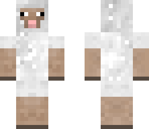 sheep