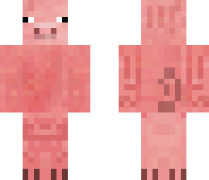 pig