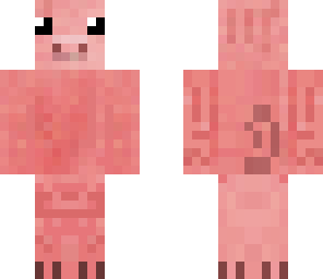 cute pig