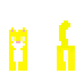 skys cat