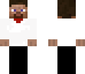 fancy steve