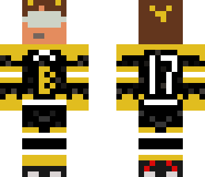 boston bruins