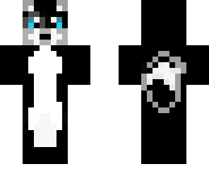 kitty cat