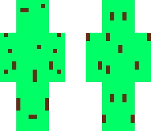 mint chocoalate chip person