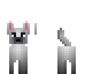 cute dog for 22