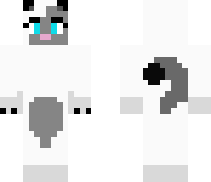 pet cat