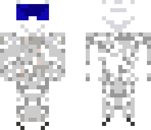 the stig