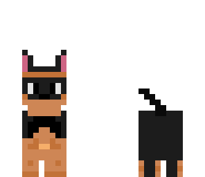 dog perro