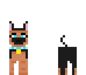 dog