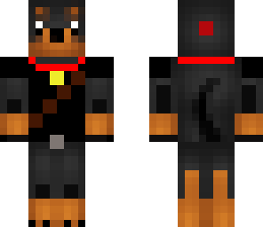 dog whit clothes