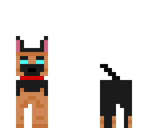 perro