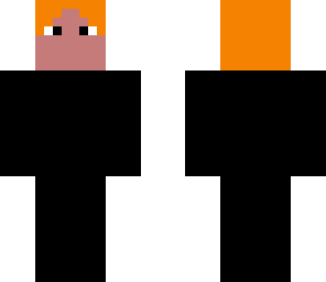 ginger ninja