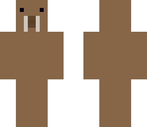 walrus