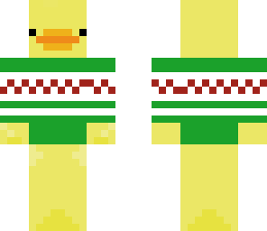 duck with sweater