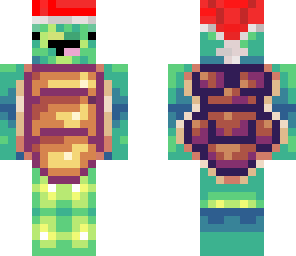 ryan's custom turtle