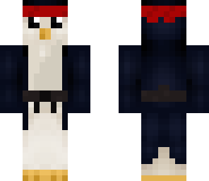 ninja penguin