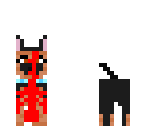 dog dog