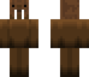 walrus
