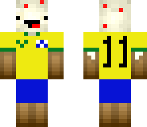 torcedor brasileiro