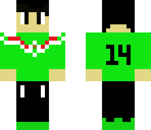 the pro