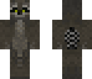 racoon