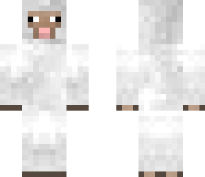 sheep