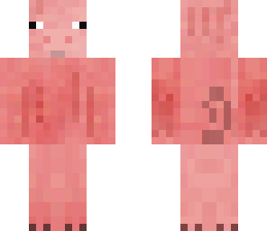 pig