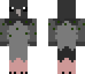 normal dove