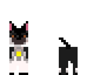 weird puppy