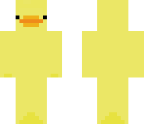 swag duck