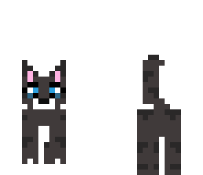 kitten